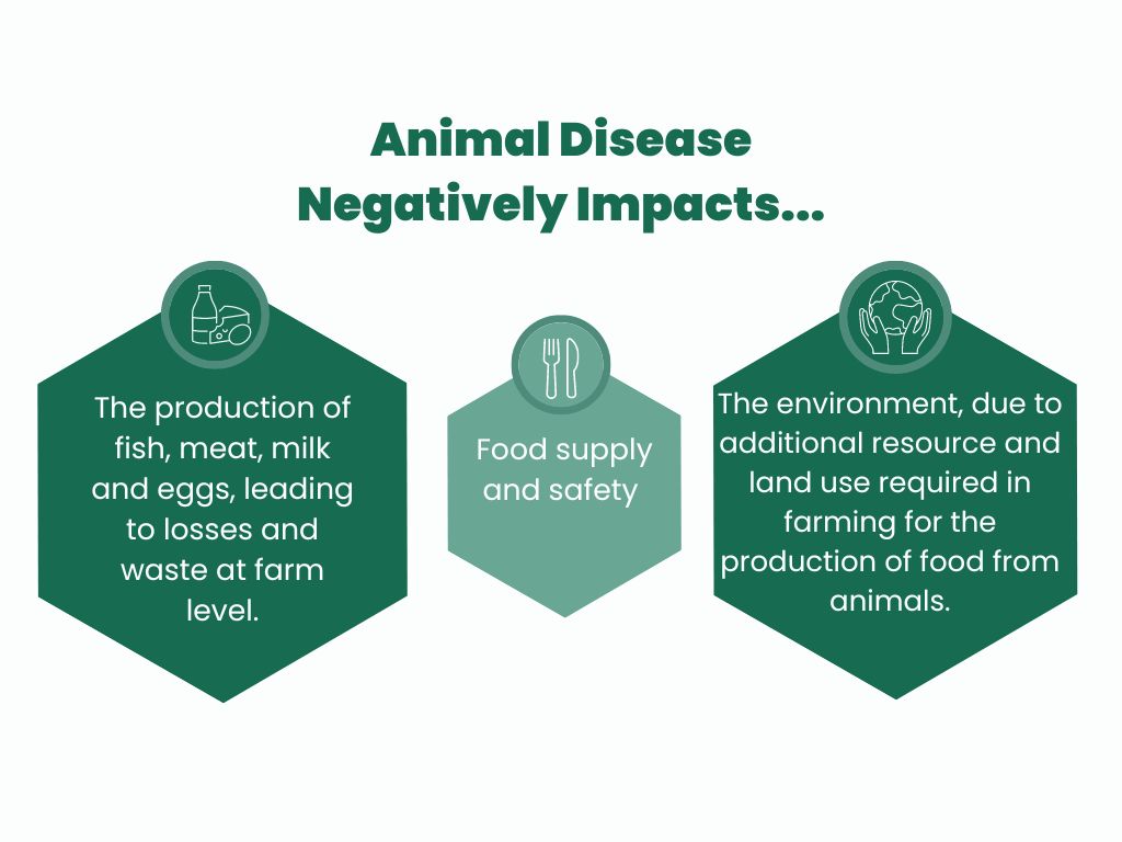 NOAH sustainability strategy NOAH (National Office of Animal Health)