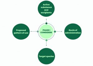 Considerations for a Phase 1 ERA