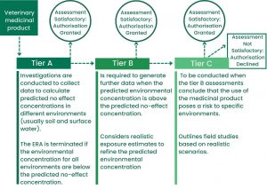 Illustration of the tier-based system used for ecotoxicological assessment for a Phase 2 ERA for veterinary medicines